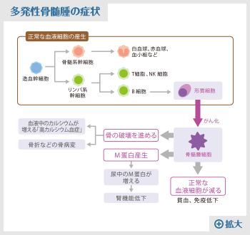 生活とがんと私 Vol.16 石川 邦子さん