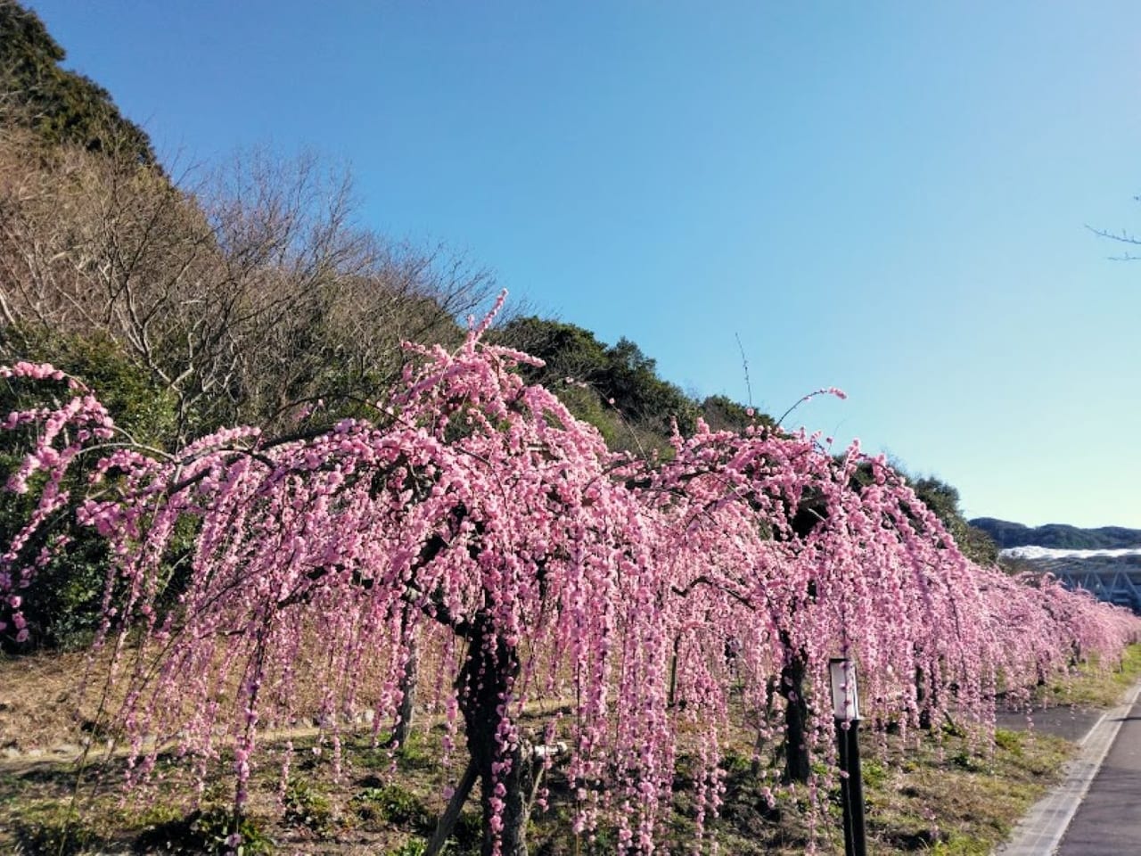 愛野(静岡県)駅周辺の観光案内所ランキングTOP4 - じゃらんnet