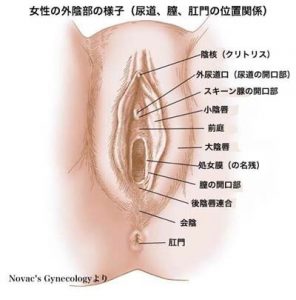 ボディソープはNG！ 正しい女性器の洗い方｜感じるところ｜森田敦子 - 幻冬舎plus