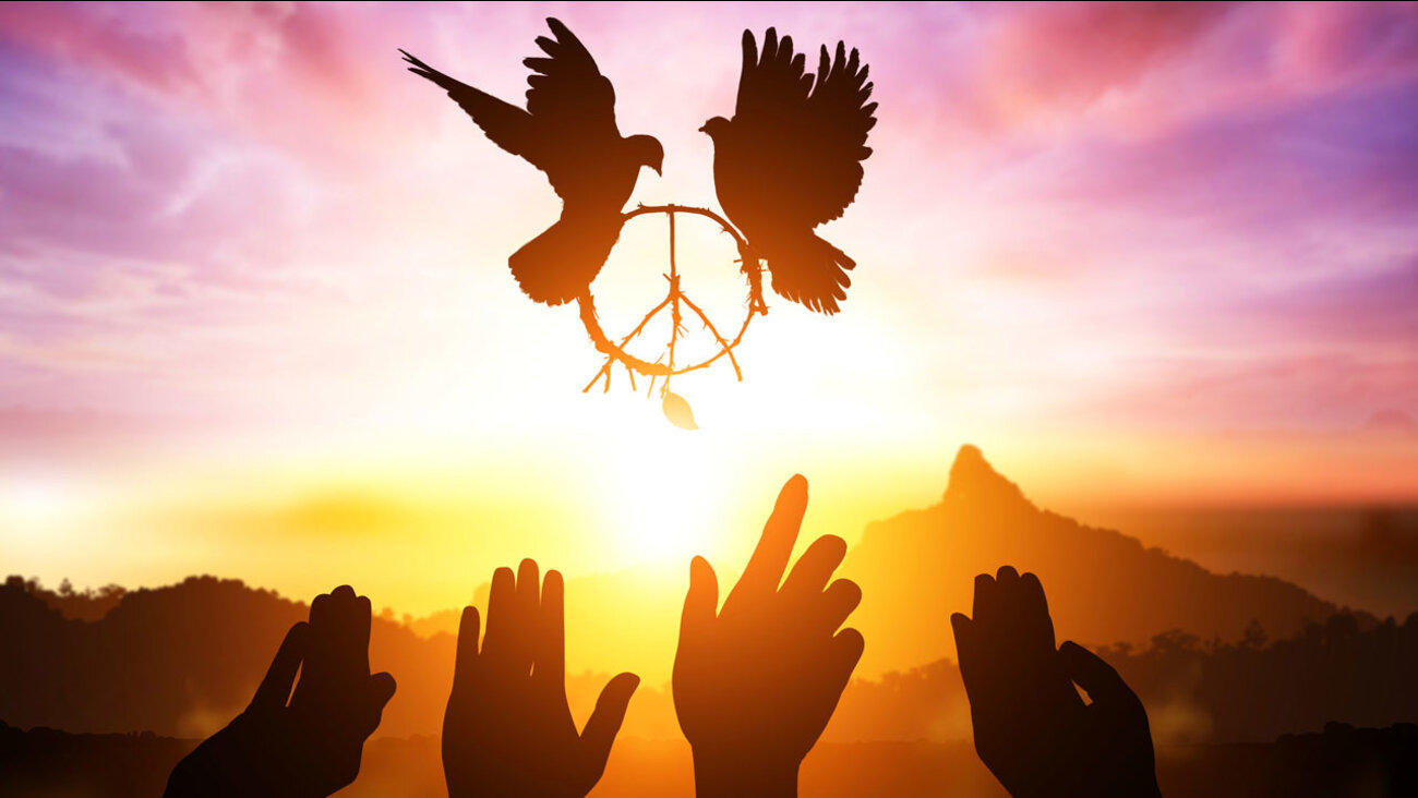 Peace Photos, Download