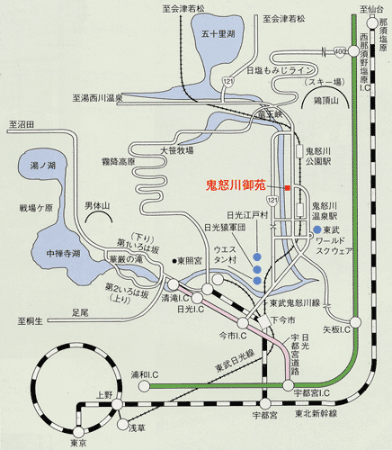 can papaさんから大江戸温泉物語 ホテル鬼怒川御苑への投稿クチコミ