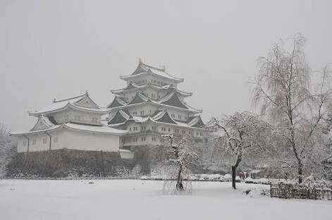 名古屋で今冬初の積雪 28日にかけ岐阜では警報級の大雪予想 | 毎日新聞