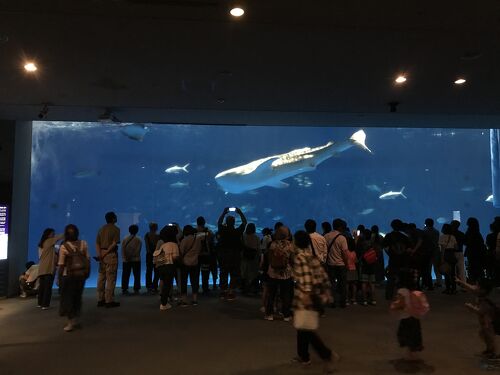 ましゅMARO 公式HP｜鹿児島県鹿児島市発 デリヘル