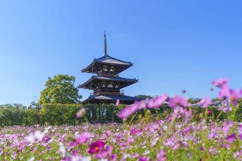 法隆寺の投稿口コミ一覧／ホームメイト