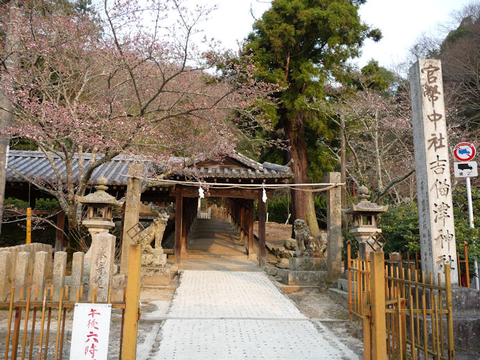 岡山あげはライオンズクラブから寄贈 – 岡山県立岡山盲学校