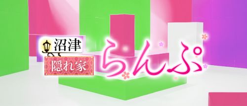 未使用】238 ☆一点物☆【A4サイズ 美女ポスター】高画質