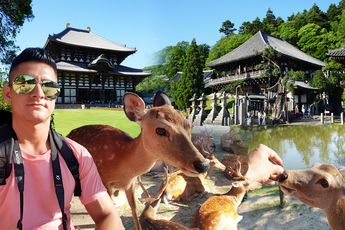 1-day trip in Nara