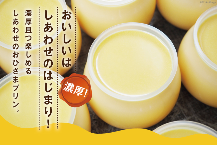 3回定期便】 浜んまちPUDDING 人気