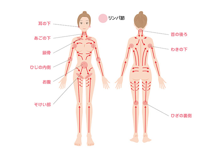 むくみすっきりで痩せ見え】脚のリンパマッサージの正しいやり方 | Oggi.jp