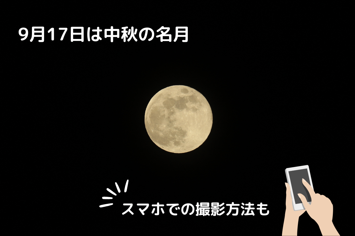 牧場物語ハーベストムーン 攻略 ほのぼの牧場生活とお別れの日 | 新スーパーファミ男