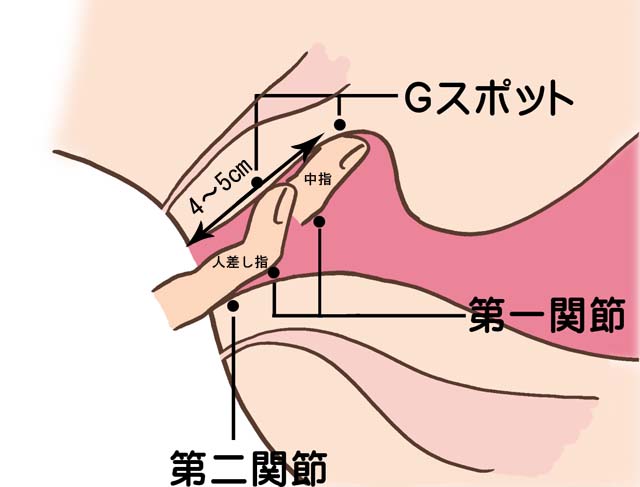 超簡単な潮の吹かせ方！潮吹きは指で〇〇するだけ？｜裏垢男子で年収2000万