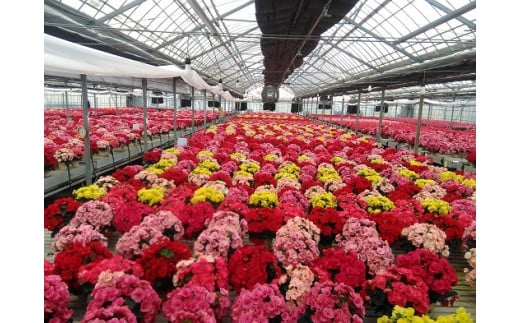 弥富駅×温泉自慢の宿 おすすめ旅館 【Yahoo!トラベル】