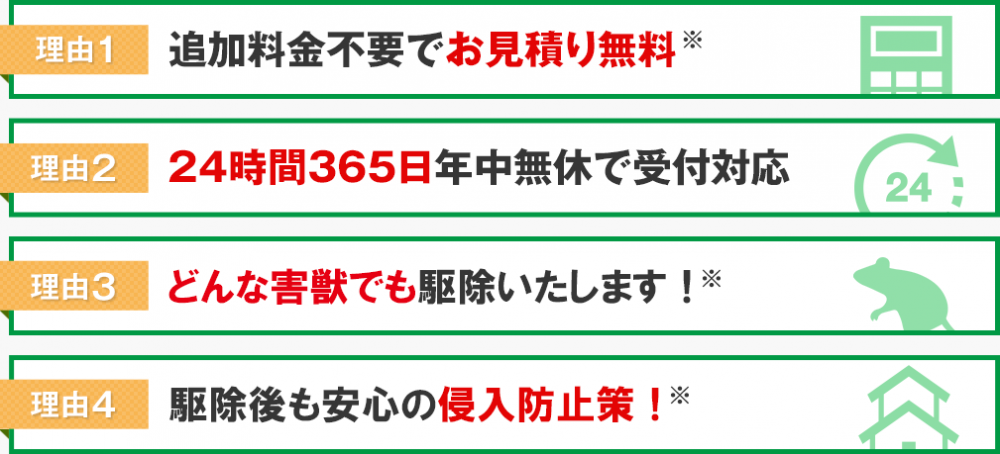 敦賀市のイタチ、ハクビシン、アライグマは害獣駆除naviへ│おすすめ業者を安心料金で