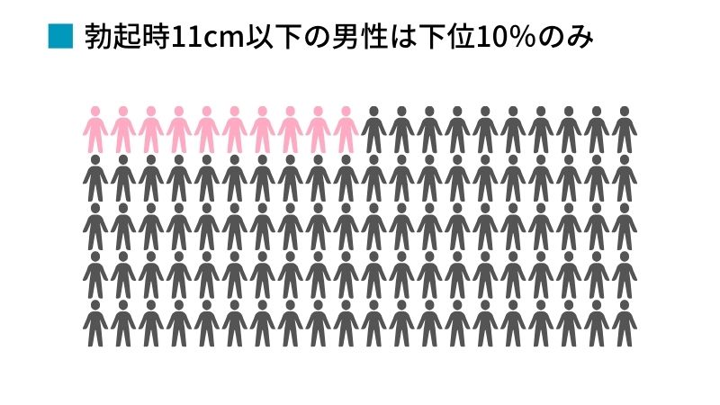 医師監修】男性器の平均サイズとは？ - 夜の保健室