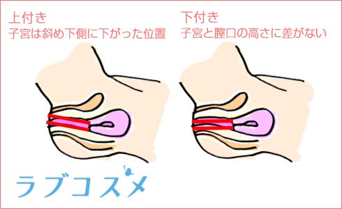 Amazon | SVAKOM ERIA 「人気な婚活アドバイザーがおすすめ」吸引バイブ