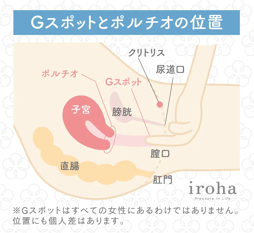 女性が感じる仕組みとは？オーガズムとスキーン腺の関係について解説 | コラム一覧｜  東京の婦人科形成・小陰唇縮小・婦人科形成（女性器形成）・包茎手術・膣ヒアルロン酸クリニック