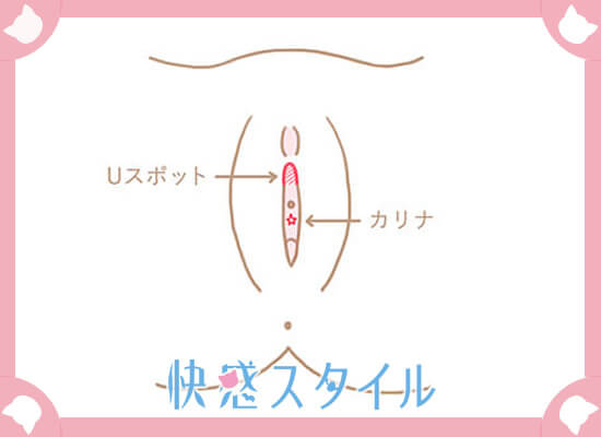 未知の性感帯開発…③アナル その2 | 長野県女性用性感マッサージTIARAティアラ-女性用風俗