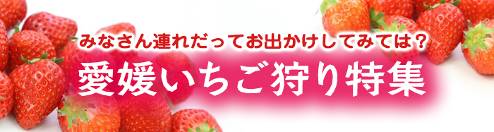 大森（岐阜県）のいちご狩りランキングTOP1 - じゃらんnet