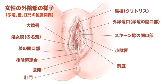 気持ちいいオナニーの種類とやり方25選【男女向け】｜風じゃマガジン