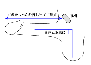 新春！チンたい測定♪』開催 : 池袋風俗 満載・乳よりな話