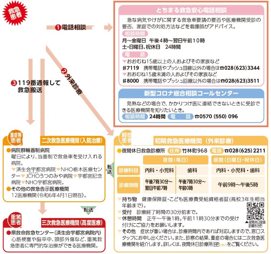 貴重な好事例｢宇都宮LRT｣各方面から注目の訳 - ライブドアニュース