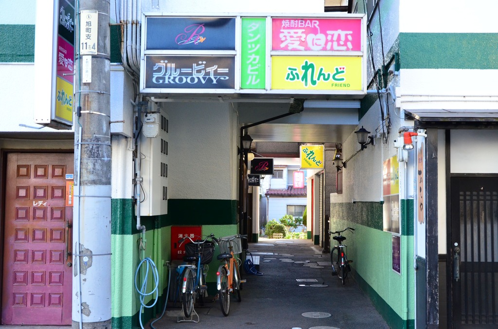 なんと！！山陰最大級の！ＭＥＧＡドン・キホーテ米子店に行ってきたよ🏃‍♀️広すぎてびっくり&風強すぎてびっくり #とっとりdiary #米子