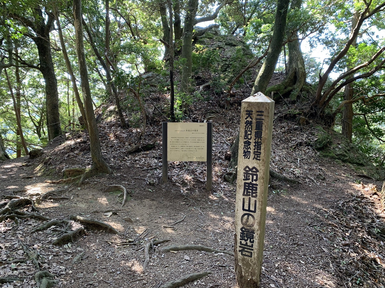 伝統の匠の技を観梅～鈴鹿の森庭園～』鈴鹿(三重県)の旅行記・ブログ by はんなりさん【フォートラベル】