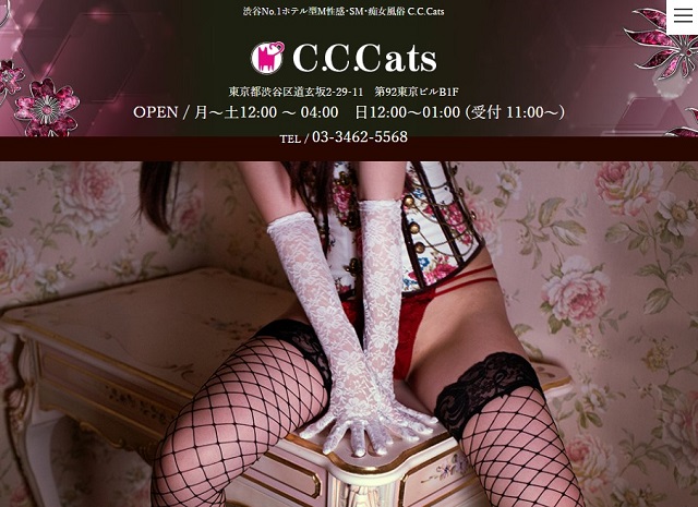 安西りさ C.C.Cats ～CCキャッツ～ 渋谷道玄坂M男クン専門・フェチM性感