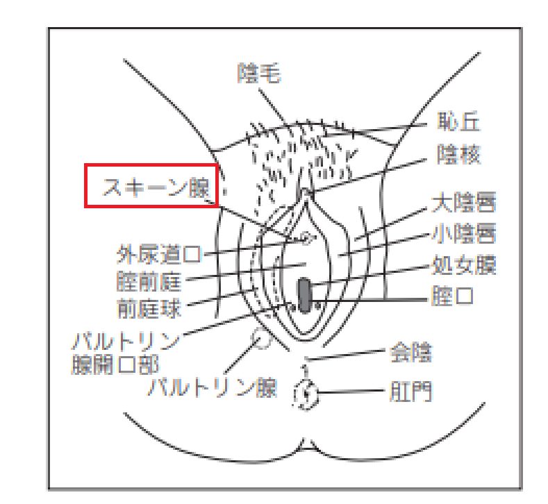 楽天ブックス: 未体験快楽ゾーン 男の潮吹きオーガズム - 冴島かおり／桜井あゆ／波多野結衣／大槻ひびき／澤村レイコ／稲川なつめ／友田彩也香／栗林里莉