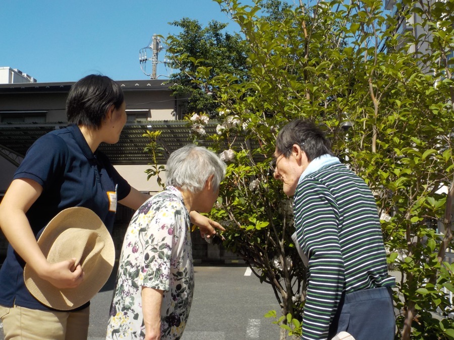 蕨市立病院（厨房/契約社員）の調理師/調理員求人・採用情報 | 埼玉県蕨市｜コメディカルドットコム