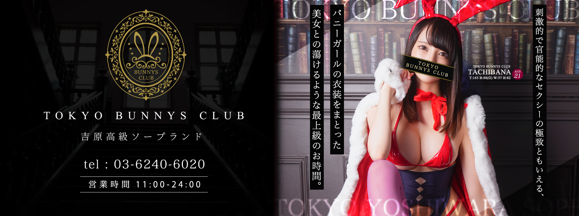 NN/NS体験談！東京・吉原のソープ“TOKYO BUNNYS CLUB（東京バニークラブ）”でソープとアロマの2重奏！料金・口コミを公開！【2024年】  |