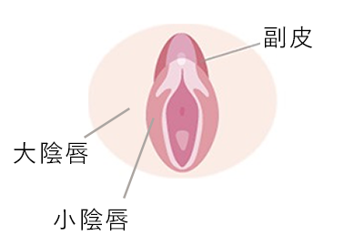 クリトリスの皮を剥くコツは？クリイキするための正しい剥き方をイラストでチェック