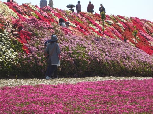 すべて 山内住建の事例集 大村市で新築注文住宅を建てる工務店