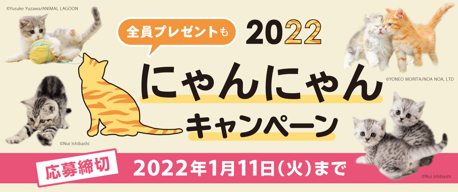 口コミ一覧 : 娘娘 浦和仲町店 （にゃんにゃん）