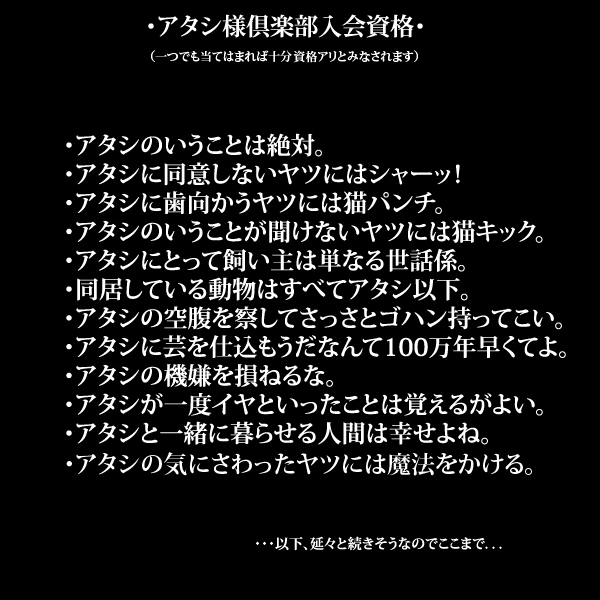 神楽坂リンダさんの句集「四十雀」発売中！ | マルコボ通信