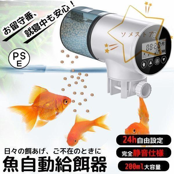 ミニ帯紙 金魚 | 夏の掛紙