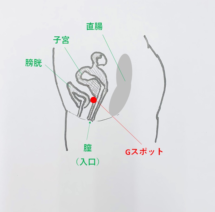 男性用リモコンシリコンペニスリングバイブレーター – Xinghaoya