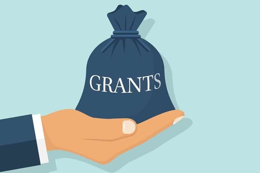 GRANT definition and meaning |