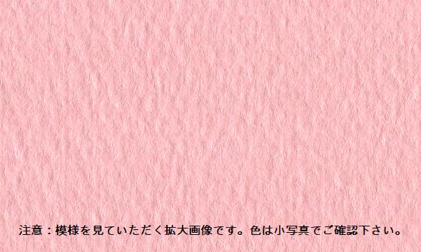 Amazon.co.jp: ネオブライス ショップ限定