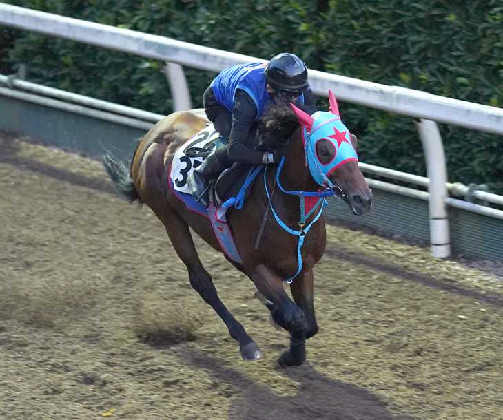 レース史上4頭目の偉業なるか 成長著しい6歳馬が重賞初挑戦で初制覇狙う | その他競技