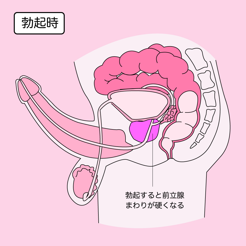 正しいアナル開発のやり方と必要なもの！自分もパートナーも両方開発させちゃいます！ | Trip-Partner[トリップパートナー]