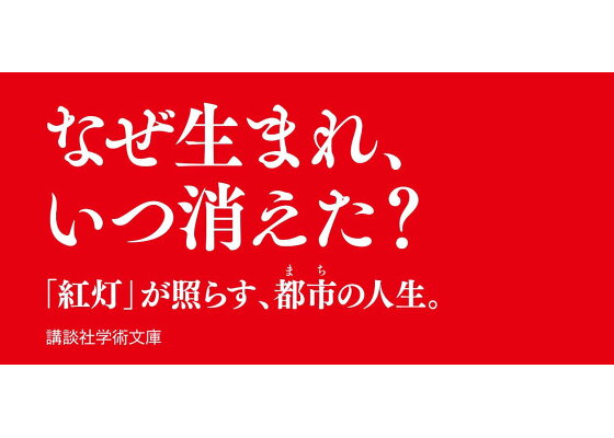 旧松島遊廓地 （五代友厚ゆかりの地探索①より）-3