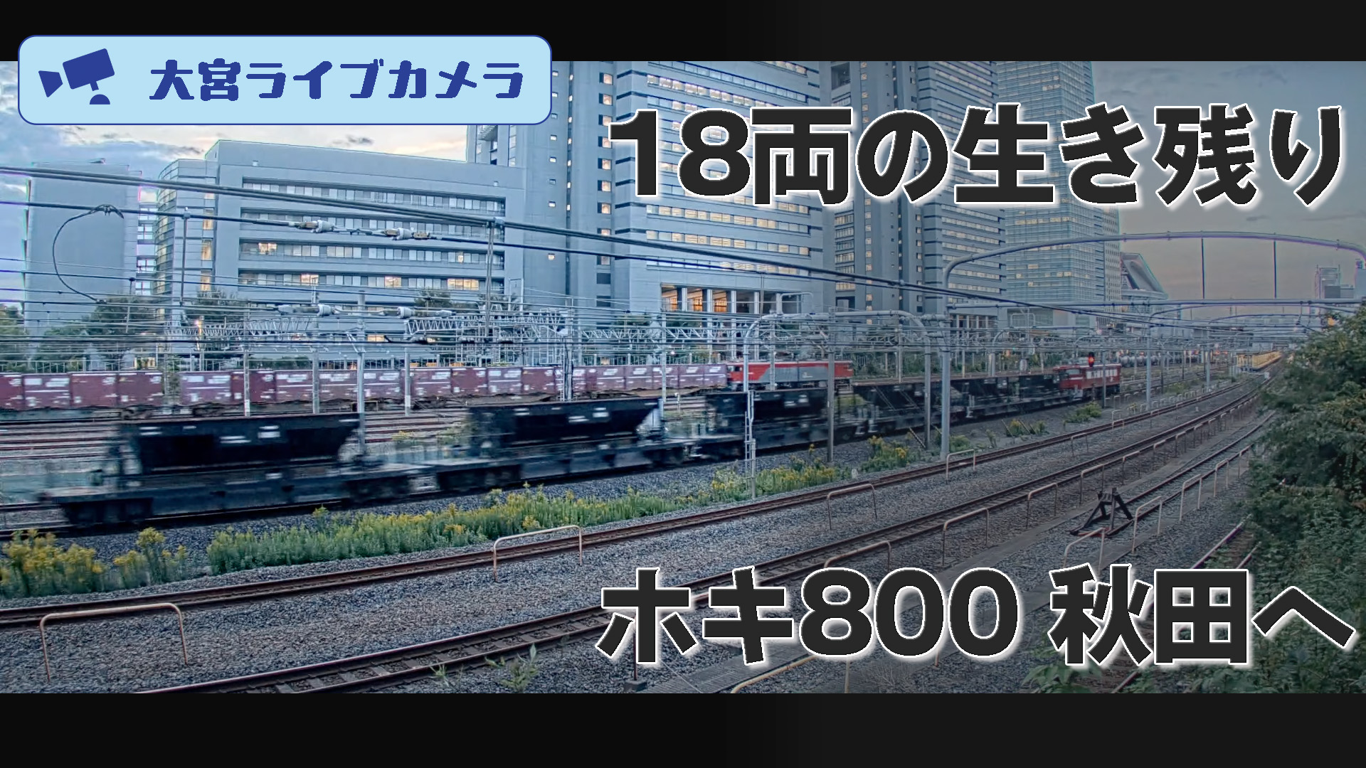 大宮セブンライブ 10thooo 〜10周年の家族旅行～