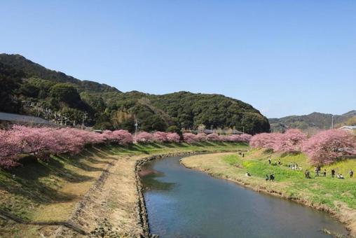 インプレッサ WRXのみなみの桜・みなみの桜と菜の花まつり・河津桜・河津桜とコラボ・写活に関するカスタム事例｜車のカスタム情報はCARTUNE