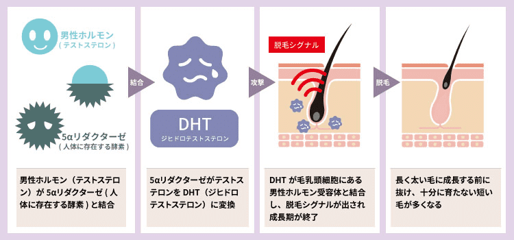 最新エビデンス】オナ禁は効果なし!?禁欲とテストステロンの関係 | ナイトプロテインPLUS