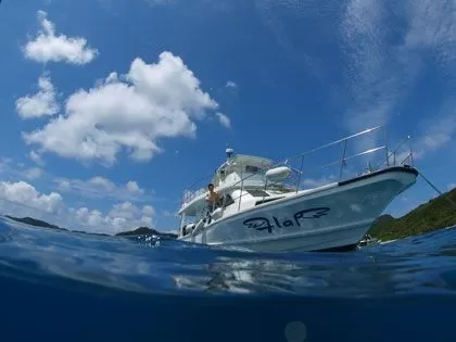 クラウン パラダイス クラブ カンクン オール