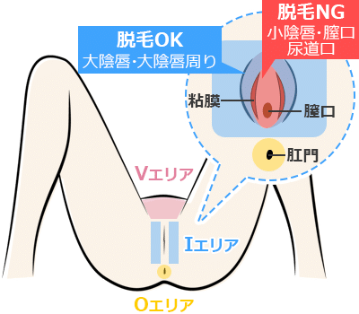 男性がパイパンにするメリットと注意点とは？処理方法まで丁寧に解説をしていきます│メンズジェニー