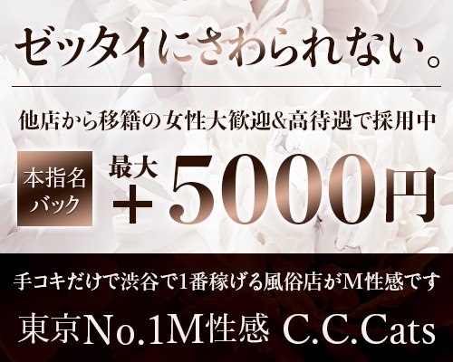 渋谷で風俗営業許可取得の注意点 - 【水商売開業.com】 ～新宿行政書士事務所運営～ 東京都内・風俗営業許可申請