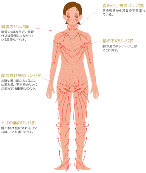 そけい部のマッサージ、なにがいいの？「やり方まとめ」 | 美的.com