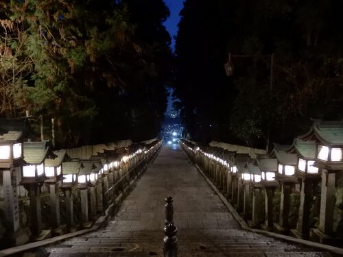 ディープ奈良1306 「旧遊郭があった街・宝山寺新地（生駒新地）」 ～生駒・奈良～』生駒・宝山寺(奈良県)の旅行記・ブログ by 